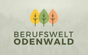 Berufswelt Odenwald